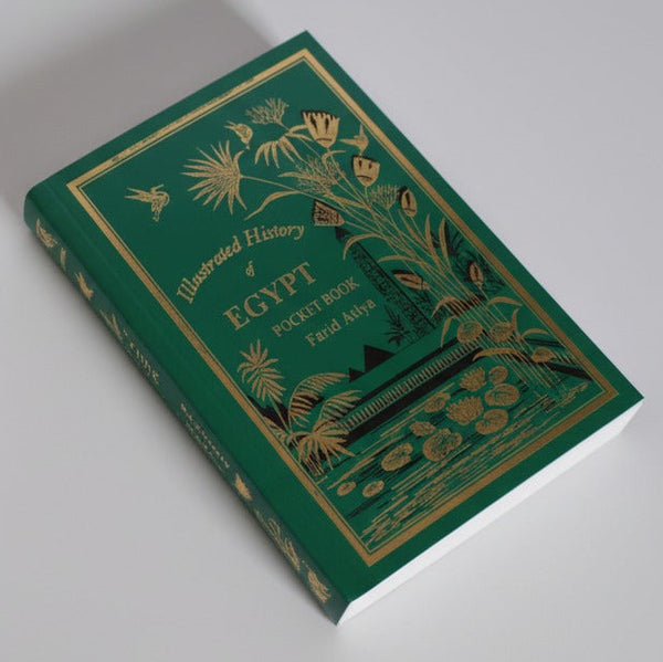 Illustrated History of Egypt